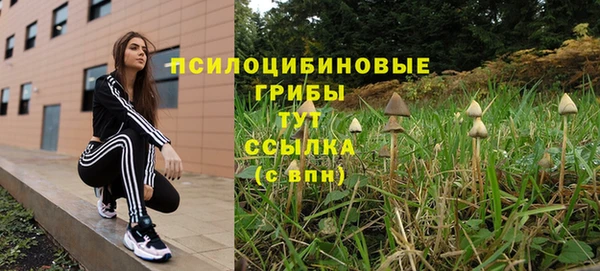 круглые Алзамай