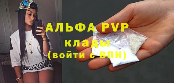 стафф Алексин
