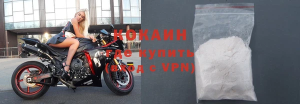 стафф Алексин