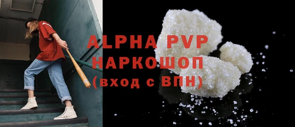 стафф Алексин