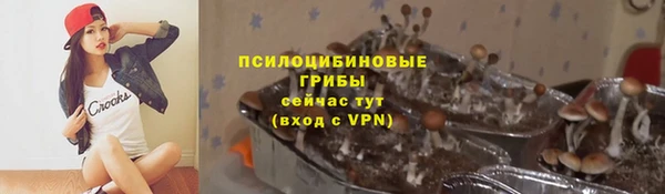 круглые Алзамай