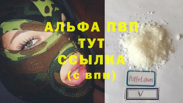 стафф Алексин
