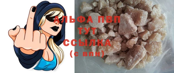 стафф Алексин