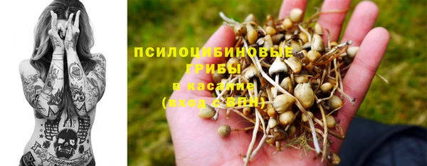 стафф Алексин